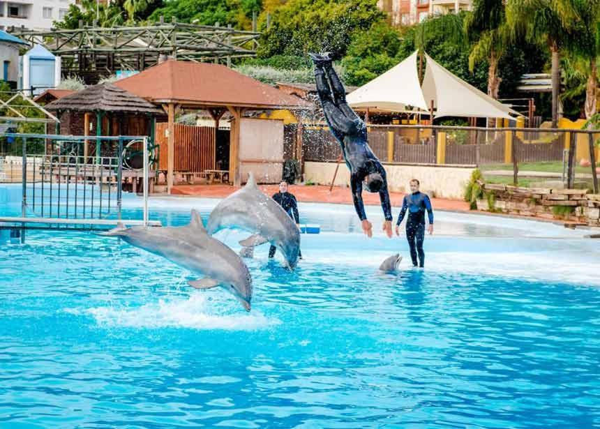 Benalmadena La Paloma Beach المظهر الخارجي الصورة